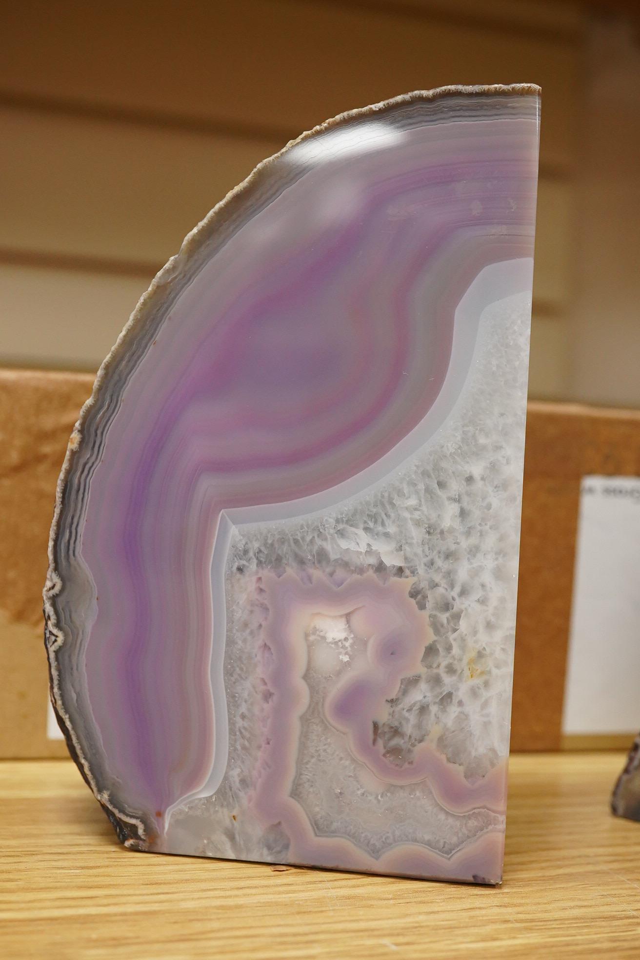 A collection of mineral specimens including quartz, together with fossilised leaves and ammonites on matrix